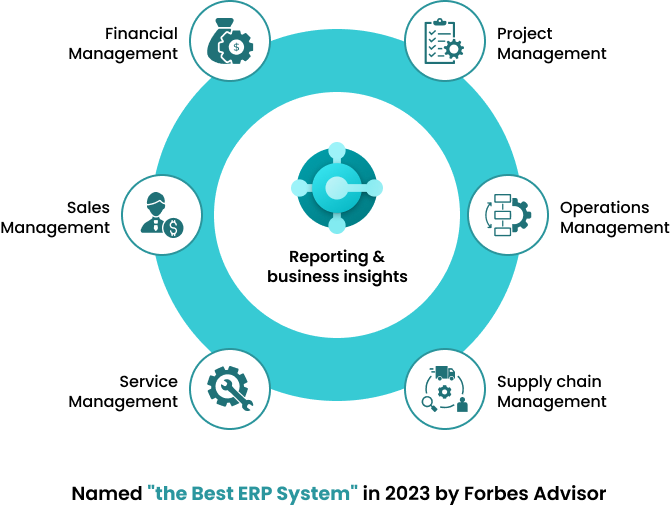 reporting and insights